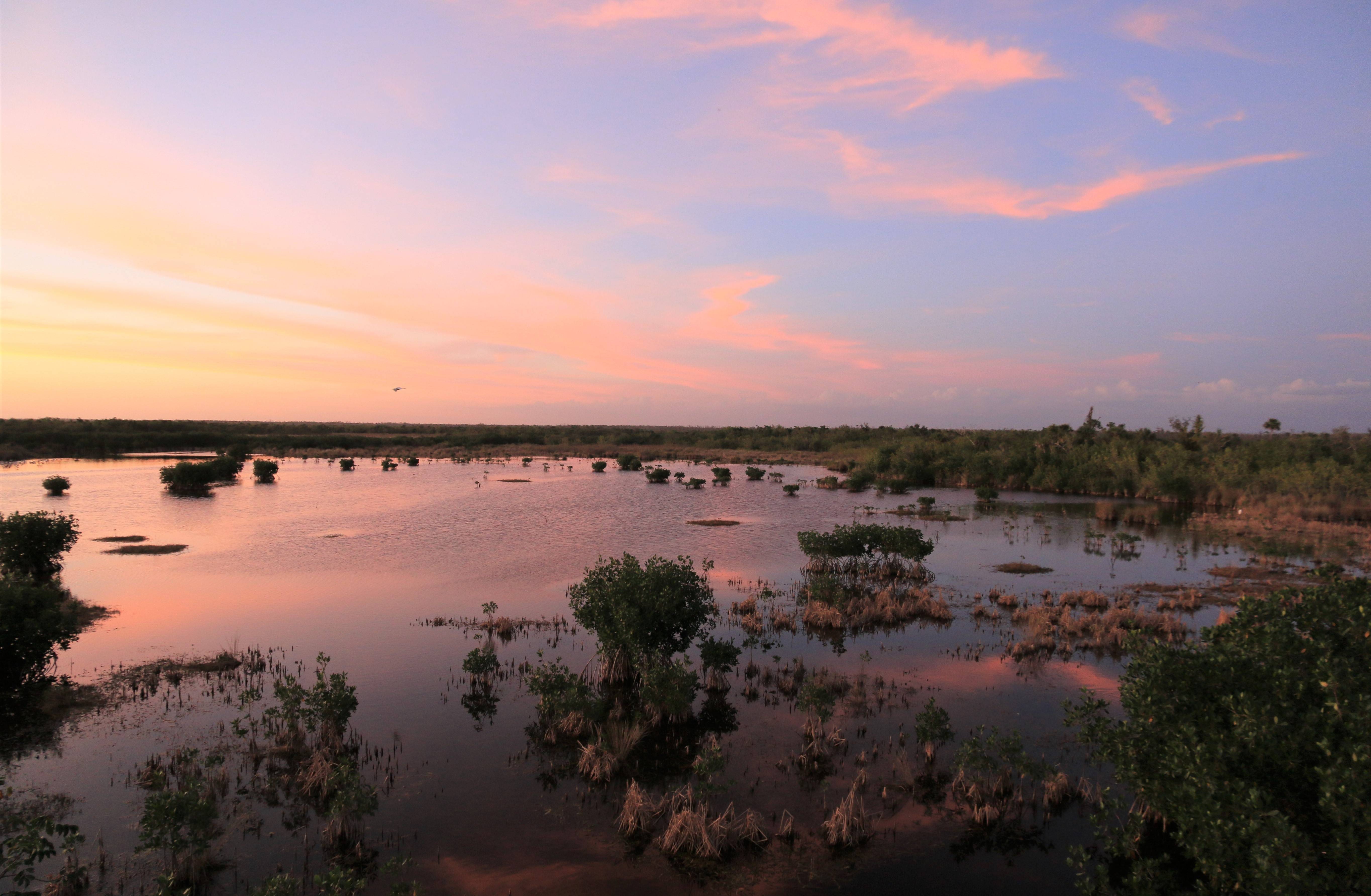 Sunset in Everglades